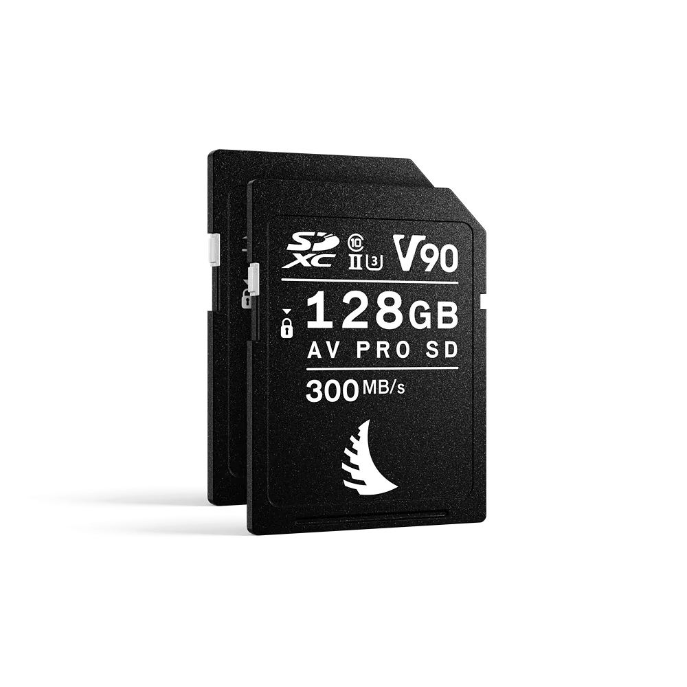 Angelbird 256GB V90 Match Pack for the Sony Alpha a7 and a9 (2 x 128GB)