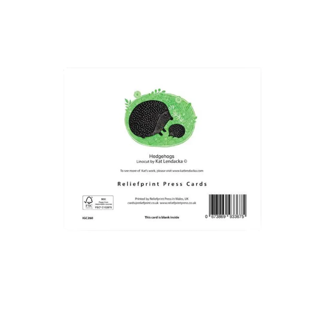 Hedgehog - Kat Lendacka