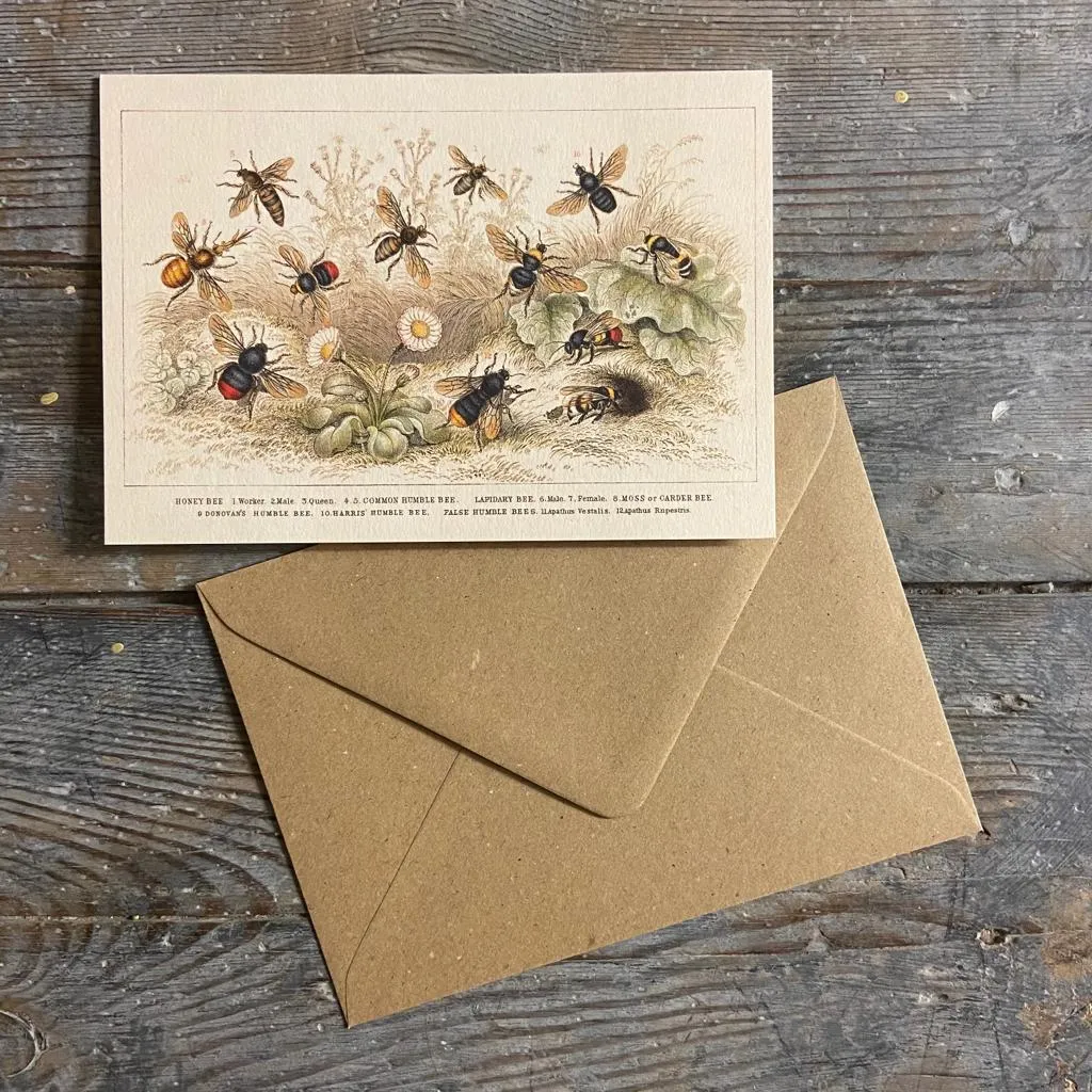 Honey Bee - Greeting card