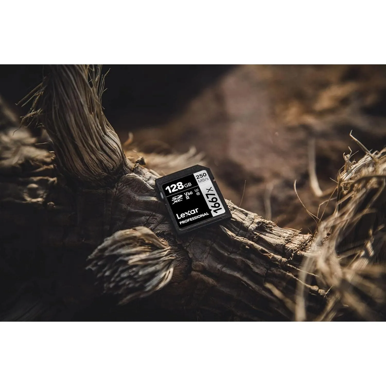 Lexar Professional 1667x SD Card 128GB, SDXC UHS-II Memory Card, Up to 250MB/s Read, 120MB/s Write, Class 10, U3, V60 SD for Professional Photographer, Videographer, Enthusiast (LSD128CB1667)