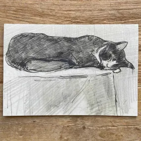 Sleeping Cat Greeting Card