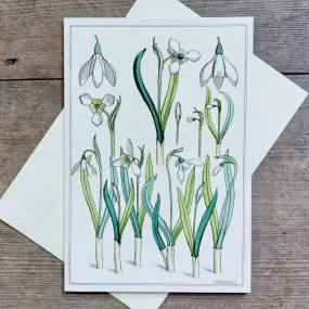 Snowdrops - Greeting Card