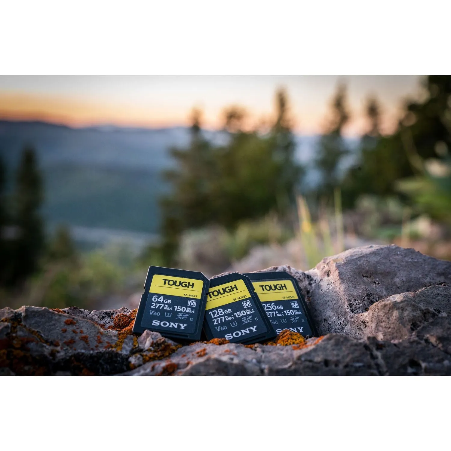Sony 128GB SF-M Tough Series UHS-II SDXC  Memory Card