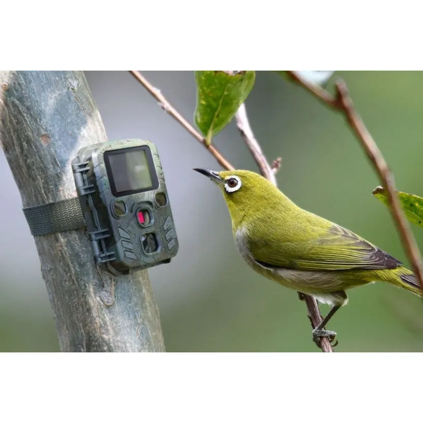 Technaxx Mini Nature Wild Camera | 4795
